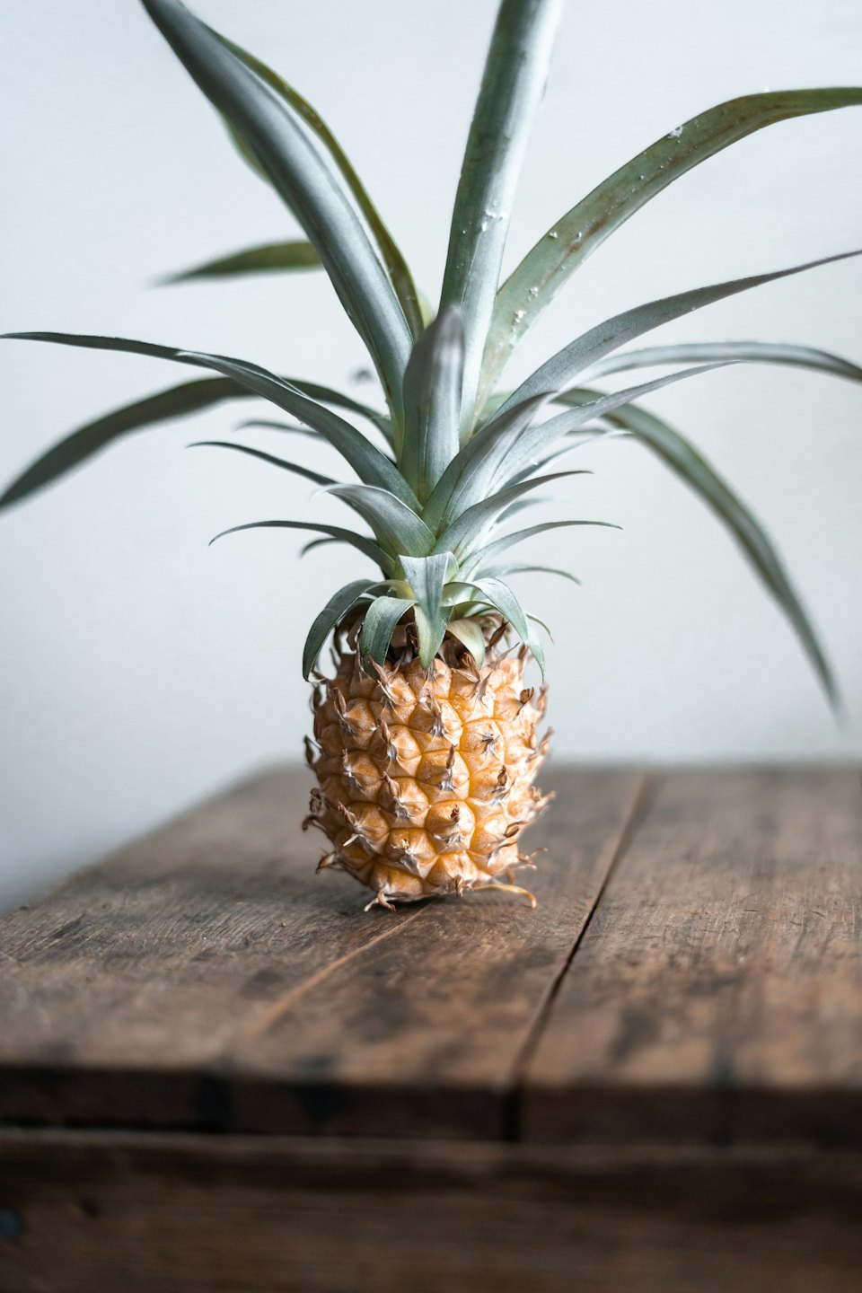 A fresh pineapple with green leaves rests on a wooden plank.